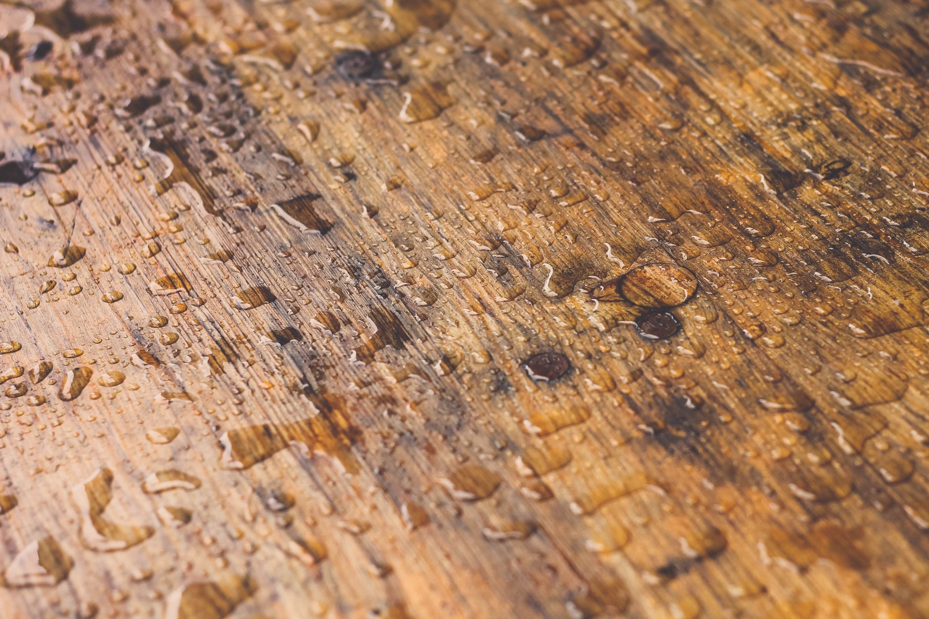 How to Spot Roof Leaks Before They Spread